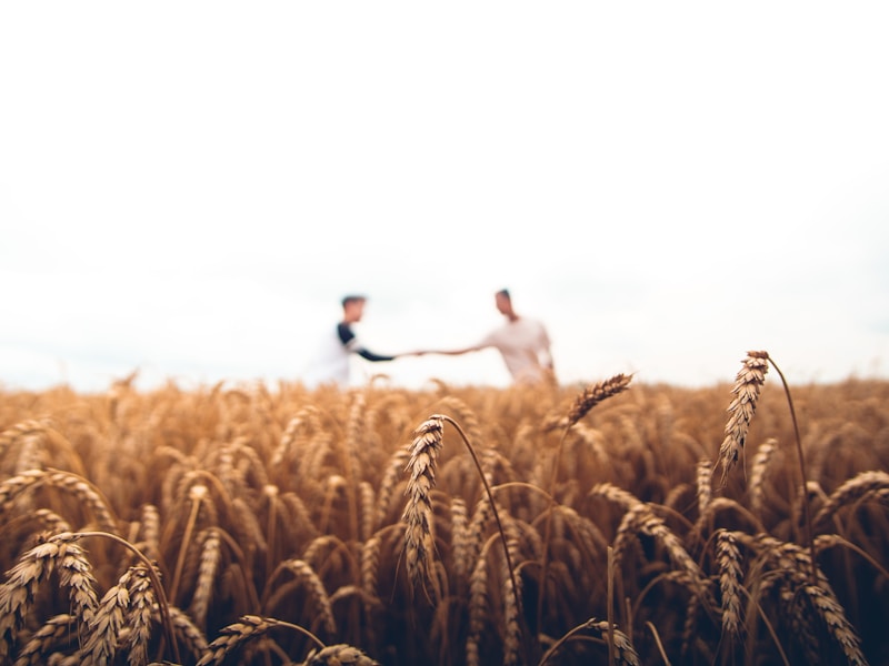 Sourcing & Origination